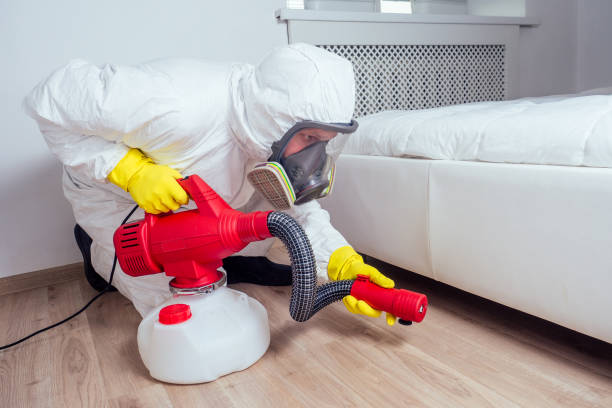 Expert Bed Bug Control Solutions in New York