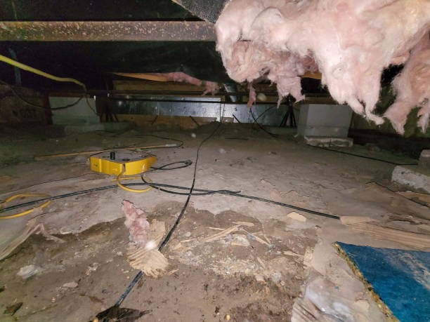 DIY Crawlspace Encapsulation Step-by-Step Breakdown