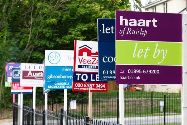 Eco-friendly apartment rentals for sustainable living