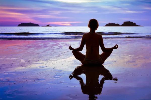 Inside Look How Flavor Profiles Affect Your Pressure Disposable Cart Experience